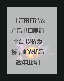 青田打造农产品出口展销平台 以侨为桥，浙农优品越洋出海