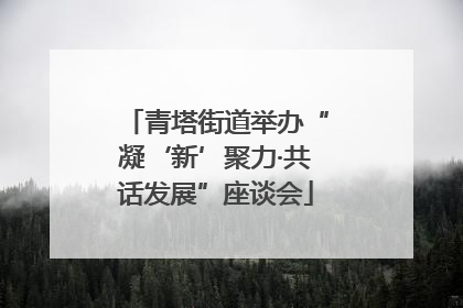 青塔街道举办“凝‘新’聚力·共话发展”座谈会