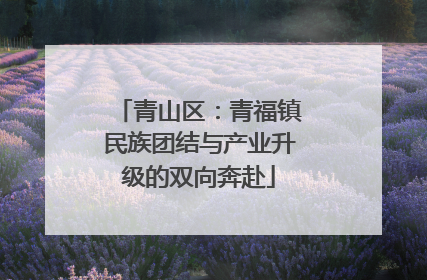 青山区：青福镇民族团结与产业升级的双向奔赴