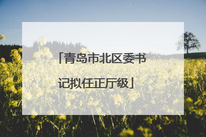 青岛市北区委书记拟任正厅级