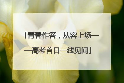 青春作答，从容上场——高考首日一线见闻