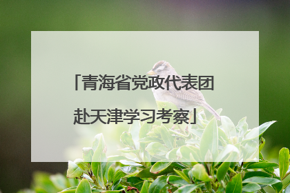青海省党政代表团赴天津学习考察