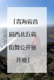 青海省首届西北五省街舞公开赛开赛