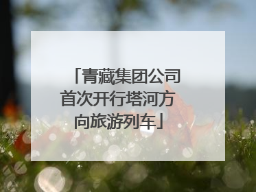 青藏集团公司首次开行塔河方向旅游列车