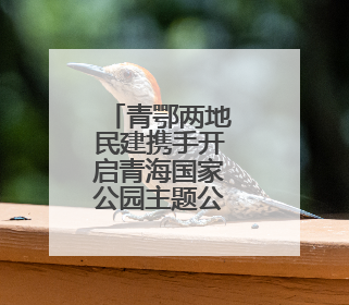 青鄂两地民建携手开启青海国家公园主题公益嘉年华
