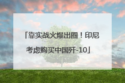 靠实战火爆出圈！印尼考虑购买中国歼-10