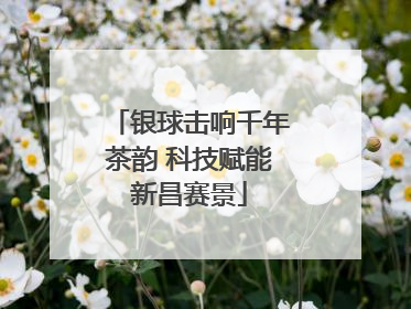 银球击响千年茶韵 科技赋能新昌赛景
