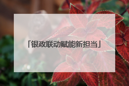 银政联动赋能新担当