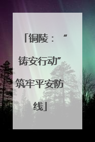 铜陵：“铸安行动”筑牢平安防线