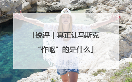 锐评｜真正让马斯克“作呕”的是什么