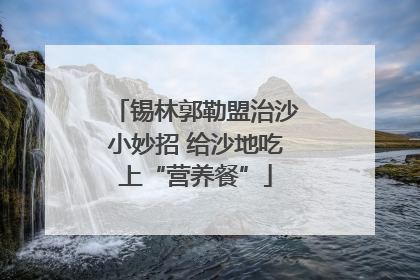 锡林郭勒盟治沙小妙招 给沙地吃上“营养餐”