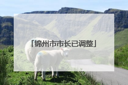 锦州市市长已调整