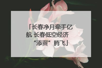 长春净月牵手亿航 长春低空经济“添翼”腾飞