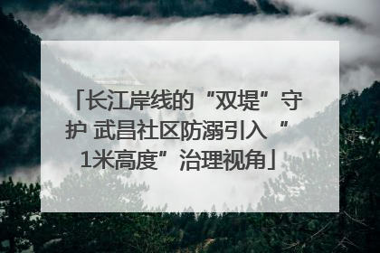长江岸线的“双堤”守护 武昌社区防溺引入“1米高度”治理视角