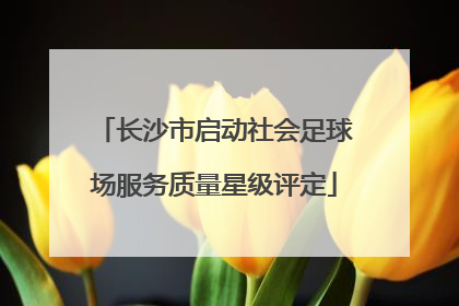 长沙市启动社会足球场服务质量星级评定