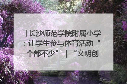 长沙师范学院附属小学：让学生参与体育活动“一个都不少”｜“文明创建耀三湘”专栏