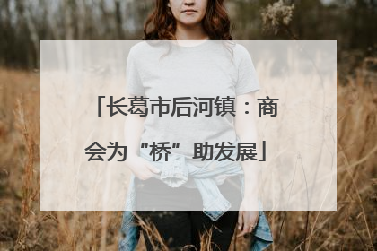 长葛市后河镇：商会为“桥”助发展