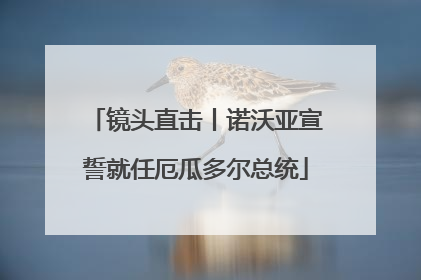 镜头直击丨诺沃亚宣誓就任厄瓜多尔总统