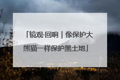 镜观·回响｜像保护大熊猫一样保护黑土地