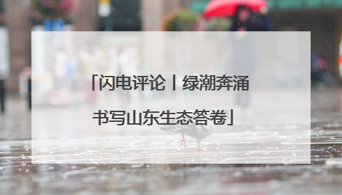 闪电评论丨绿潮奔涌 书写山东生态答卷