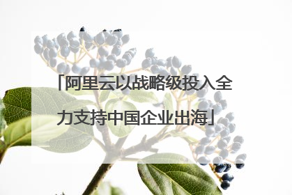 阿里云以战略级投入全力支持中国企业出海
