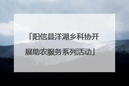 阳信县洋湖乡科协开展助农服务系列活动
