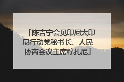 陈吉宁会见印尼大印尼行动党秘书长、人民协商会议主席穆扎尼