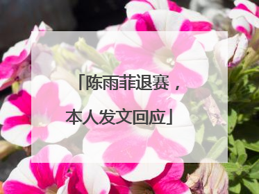 陈雨菲退赛，本人发文回应
