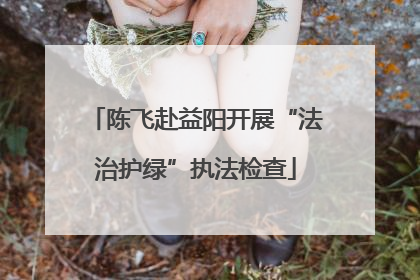 陈飞赴益阳开展“法治护绿”执法检查