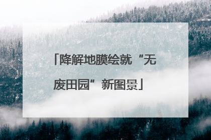 降解地膜绘就“无废田园”新图景