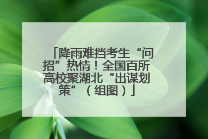 降雨难挡考生“问招”热情！全国百所高校聚湖北“出谋划策”（组图）