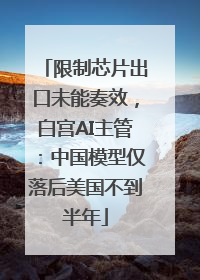 限制芯片出口未能奏效，白宫AI主管：中国模型仅落后美国不到半年