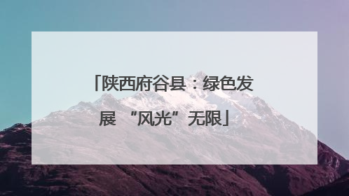 陕西府谷县：绿色发展 “风光”无限