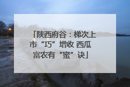 陕西府谷：梯次上市“巧”增收 西瓜富农有“蜜”诀