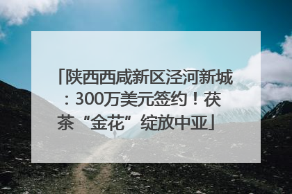 陕西西咸新区泾河新城：300万美元签约！茯茶“金花”绽放中亚