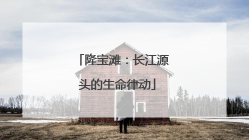 隆宝滩：长江源头的生命律动