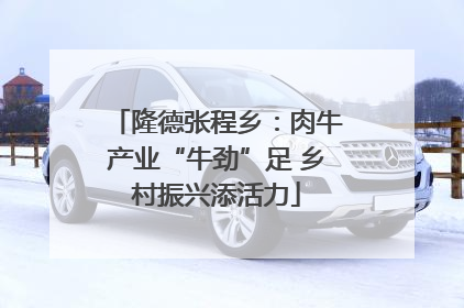 隆德张程乡：肉牛产业“牛劲”足 乡村振兴添活力