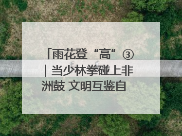 雨花登“高”③｜当少林拳碰上非洲鼓 文明互鉴自有动人韵律