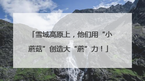 雪域高原上，他们用“小蘑菇”创造大“蘑”力！