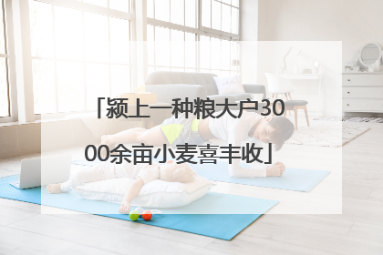 颍上一种粮大户3000余亩小麦喜丰收