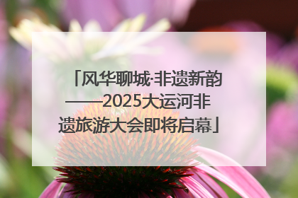 风华聊城·非遗新韵——2025大运河非遗旅游大会即将启幕