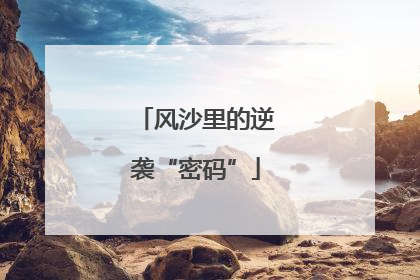 风沙里的逆袭“密码”