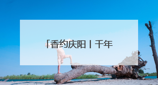 香约庆阳丨千年香包焕新彩 民俗魅力展新姿