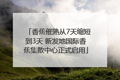 香蕉催熟从7天缩短到3天 新发地国际香蕉集散中心正式启用