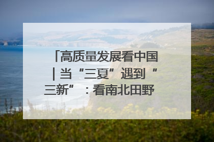 高质量发展看中国｜当“三夏”遇到“三新”：看南北田野里的科技共生记