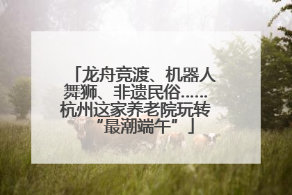 龙舟竞渡、机器人舞狮、非遗民俗……杭州这家养老院玩转“最潮端午”