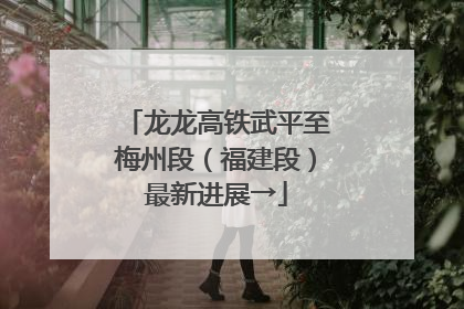 龙龙高铁武平至梅州段（福建段）最新进展→