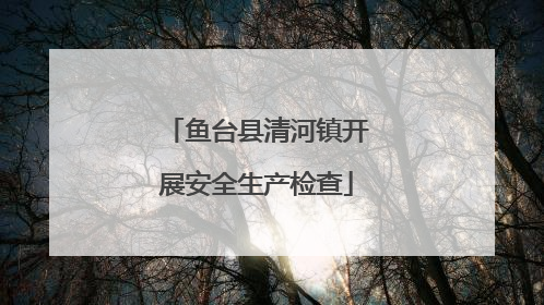 鱼台县清河镇开展安全生产检查