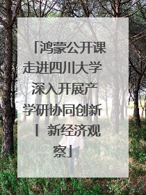 鸿蒙公开课走进四川大学 深入开展产学研协同创新丨 新经济观察