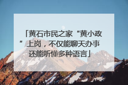 黄石市民之家“黄小政”上岗，不仅能聊天办事还能听懂多种语言